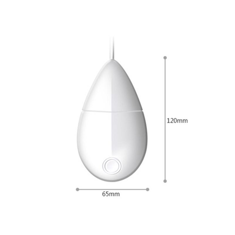 Ultrasonic Pet Stain Cleaner for Collars & Leashes