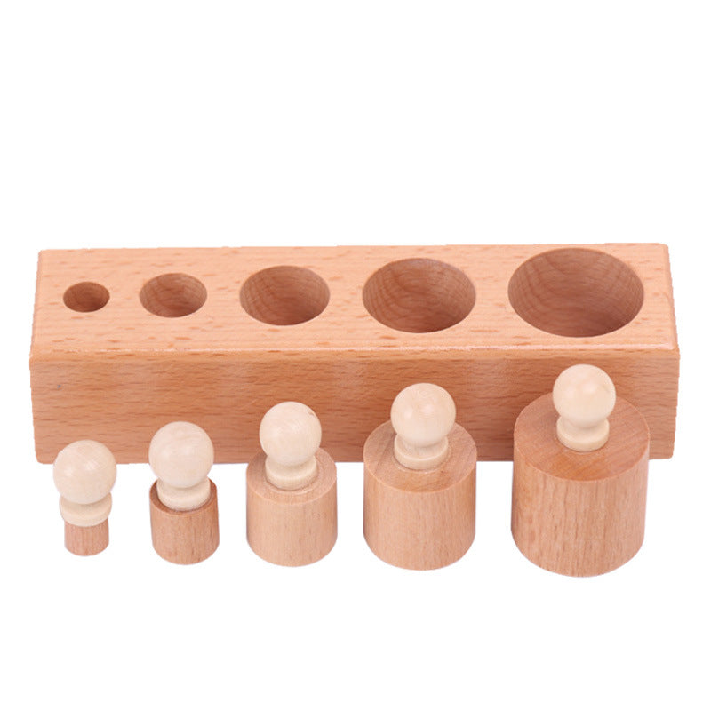 Montessori Wooden Cylinder Puzzle for Fine Motor Skills