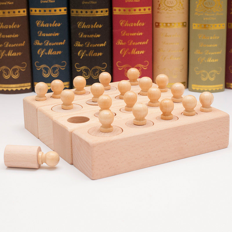Montessori Wooden Cylinder Puzzle for Fine Motor Skills