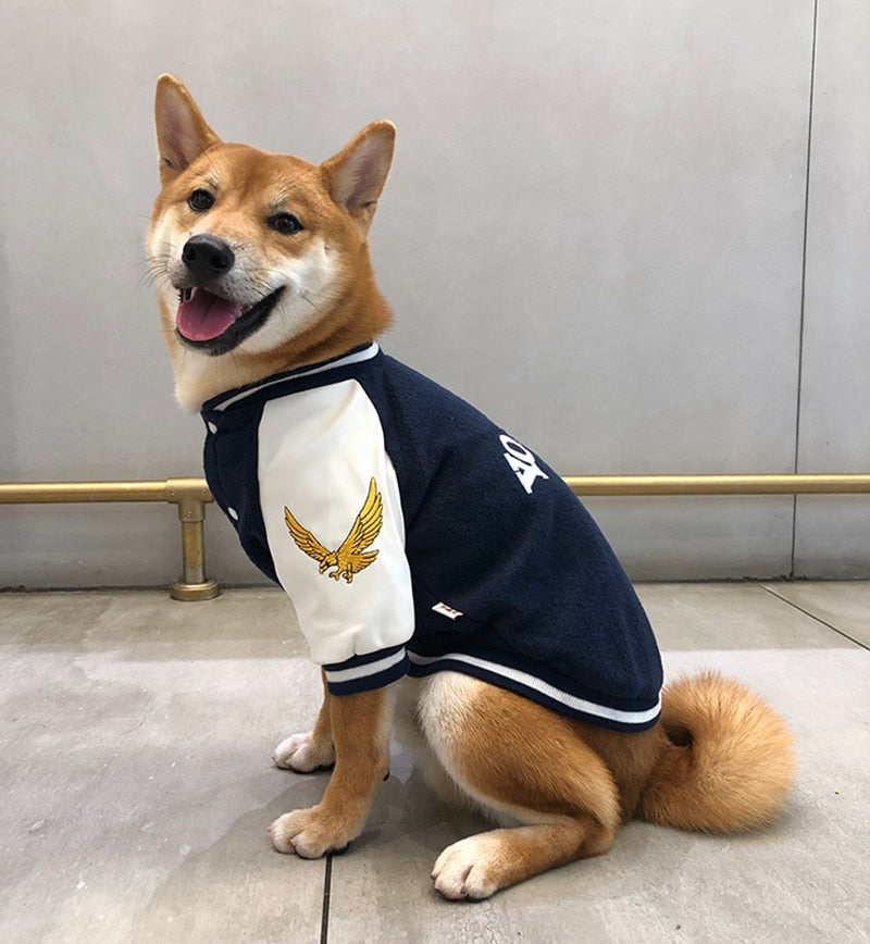 Dog Varsity Vest for Stylish Everyday Walks & Outings