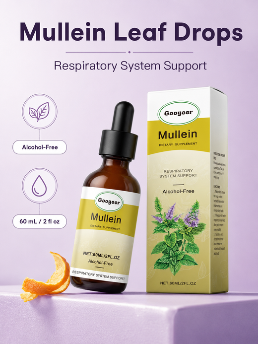 Mullein Leaf Drops 60ml — Alcohol-Free Respiratory Support