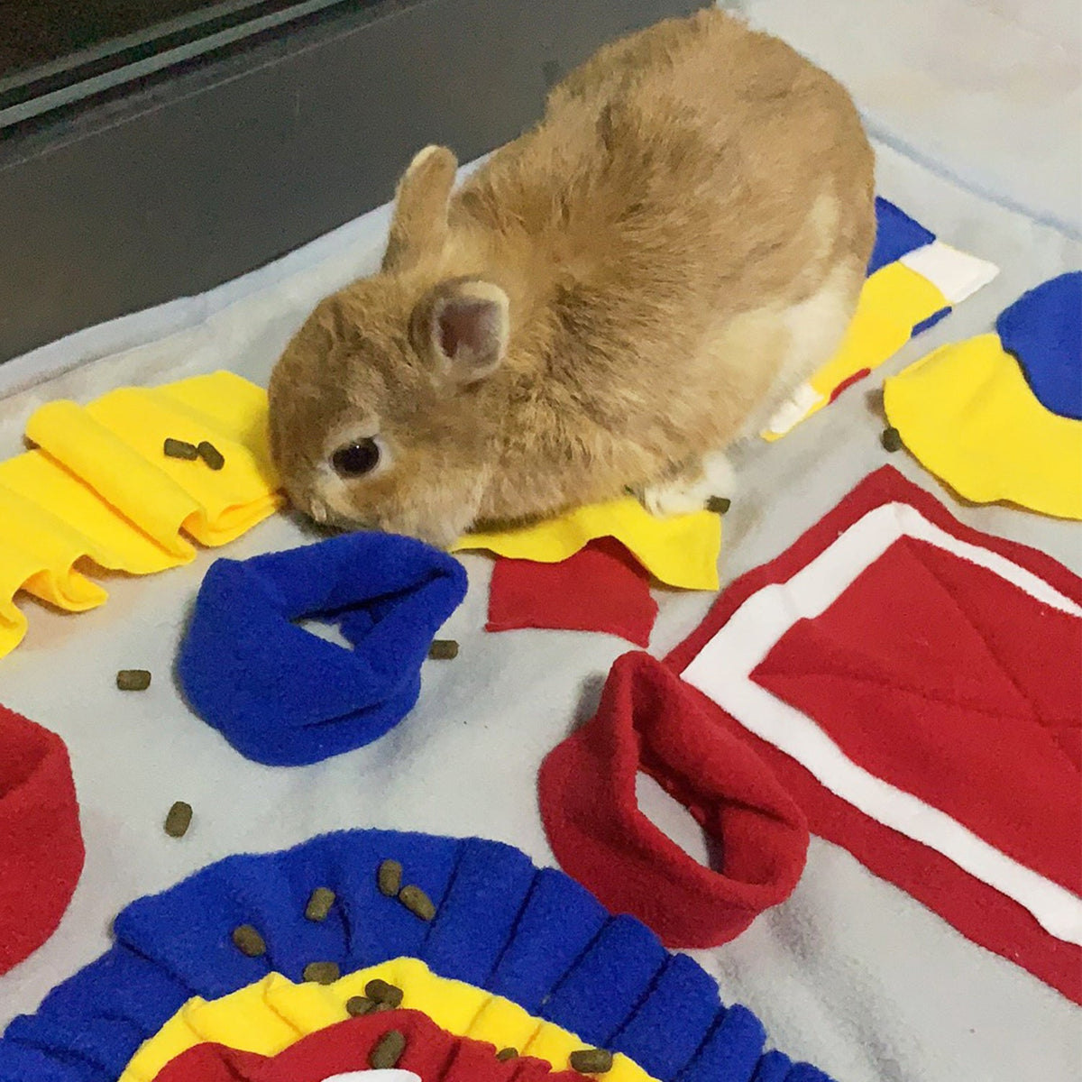 Interactive Snuffle Mat for Dogs & Rabbits | Slow Feeding