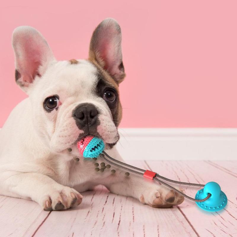 Interactive Dog Chew Ball for Indoor Tug & Enrichment