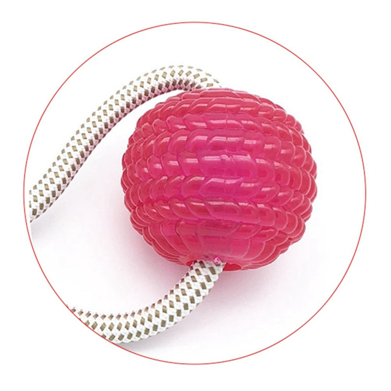 Interactive Dog Dental Chew Toy with Suction Cup Base