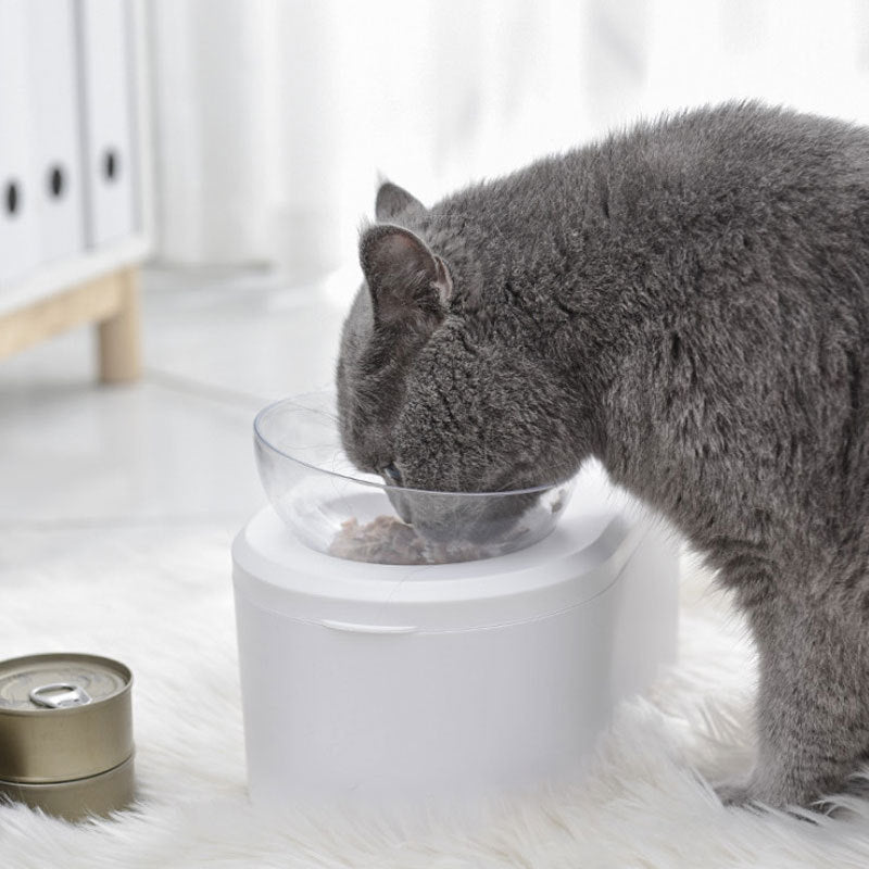 Elevated Double Pet Bowl With Built-In Food Storage