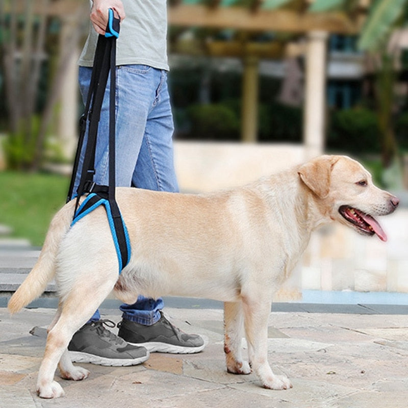 Adjustable Dog Lift Harness for Weak Hind Leg Mobility Aid