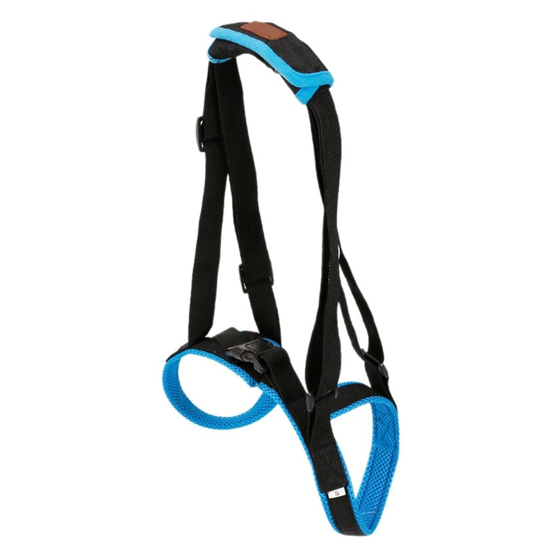 Adjustable Dog Lift Harness for Weak Hind Leg Mobility Aid