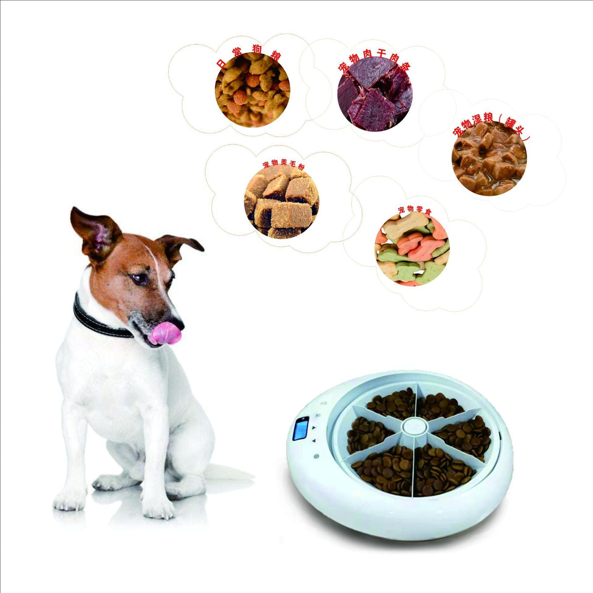 Automatic Pet Feeder With Scheduled Portion Control