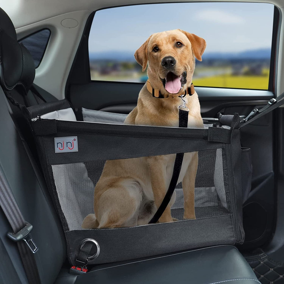 Pet Car Carrier With Waterproof Rear-Seat Protection