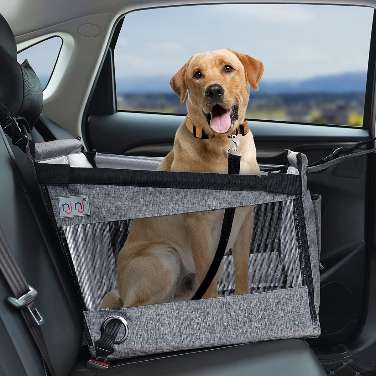 Pet Car Carrier With Waterproof Rear-Seat Protection