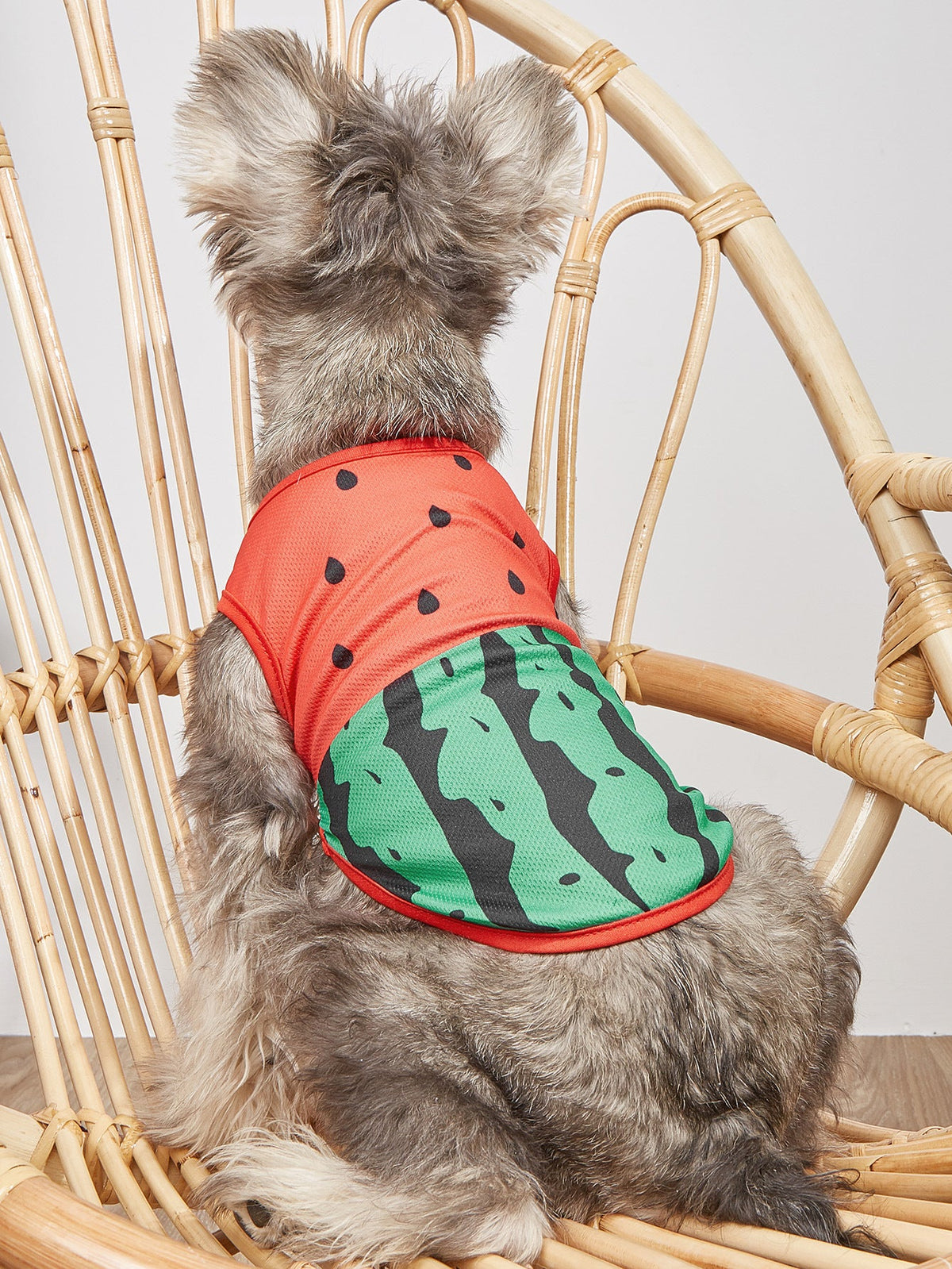 Small Pet Vest — Breathable Watermelon Print Style