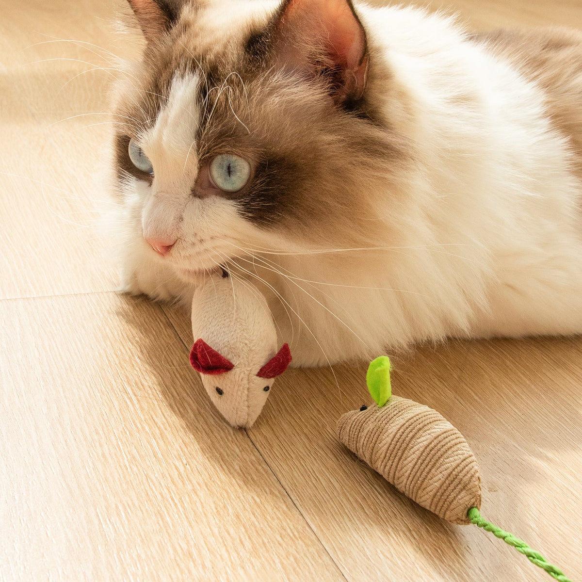 Cat Chewing Toy for Indoor Chase and Daily Enrichment