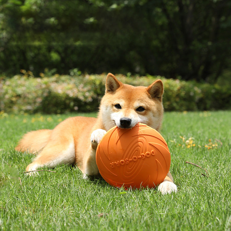 Dog Frisbee Floating Fetch Toy for Outdoor Exercise