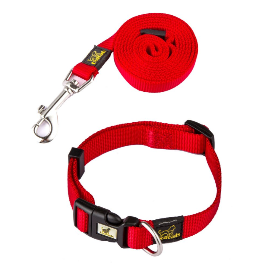Dog Collar and Leash Set for Stylish Outdoor Walks