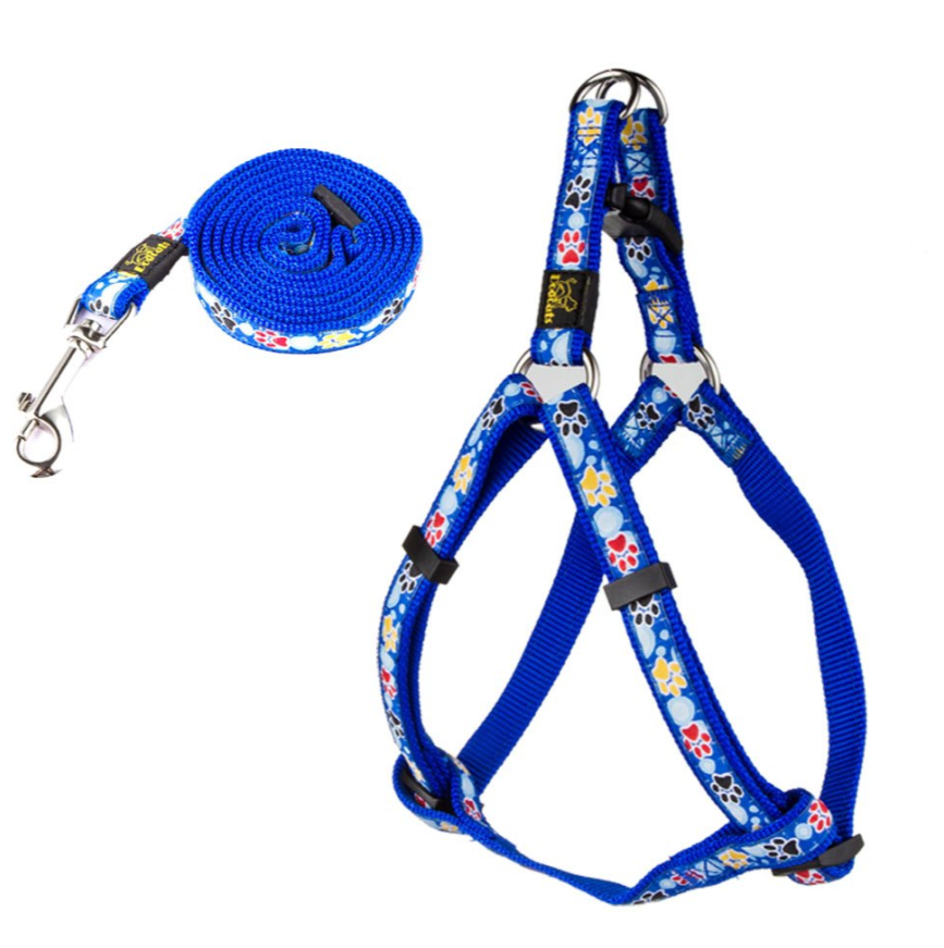 Dog Paw Print Nylon Leash and Collar Set