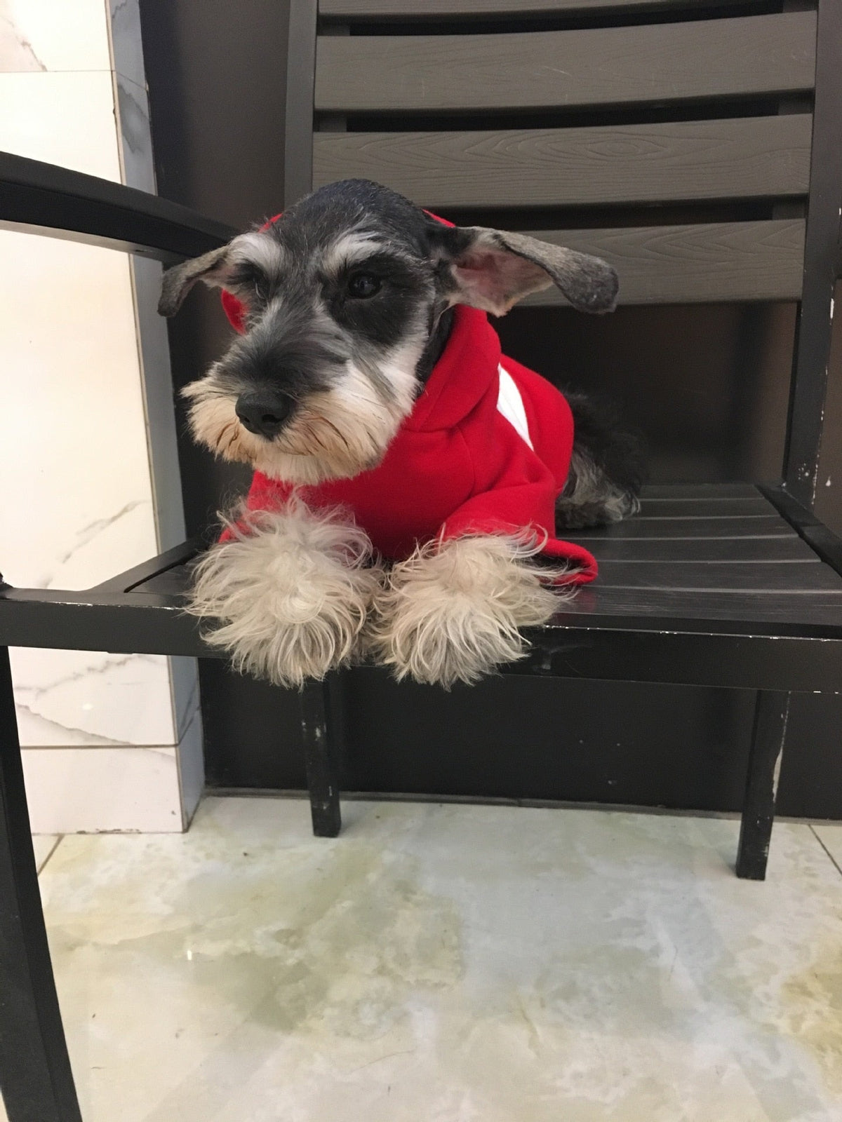 Small Dog Hoodie for Warm Autumn and Winter Walks, Cozy