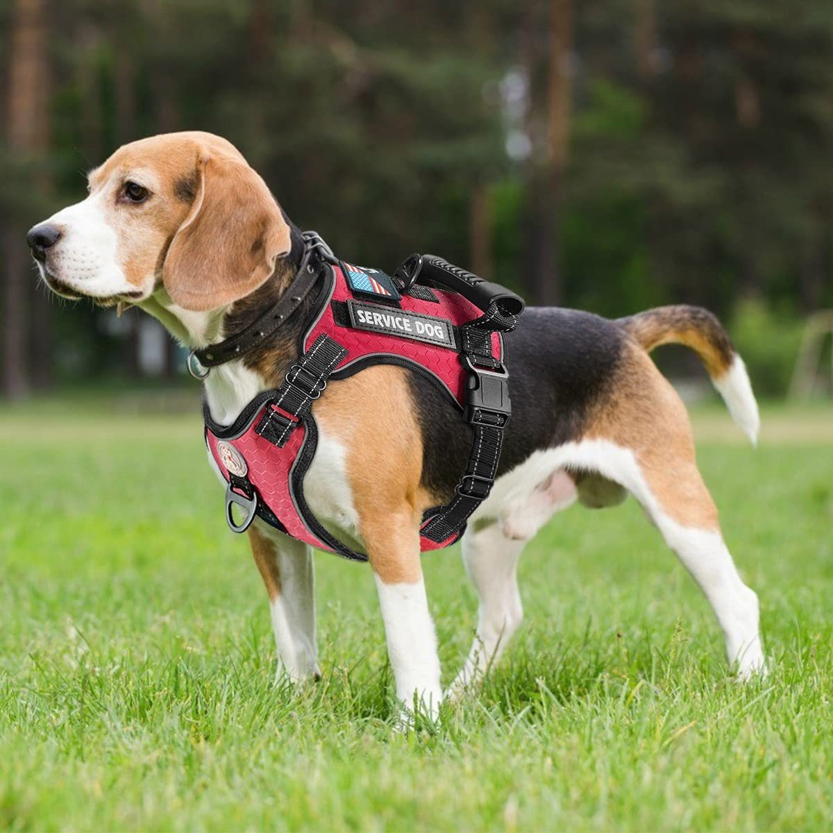 Dog Harness With Padded Comfort and Easy Control