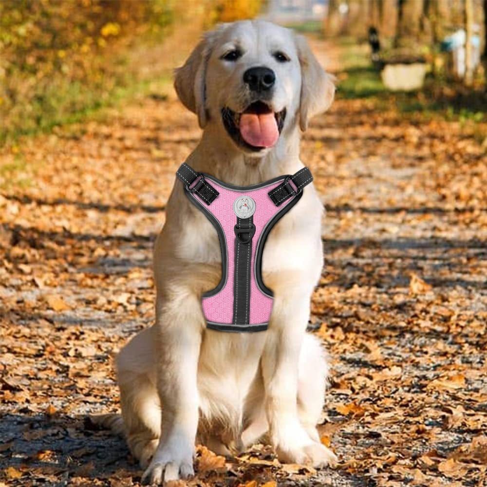 Dog Harness With Padded Comfort and Easy Control