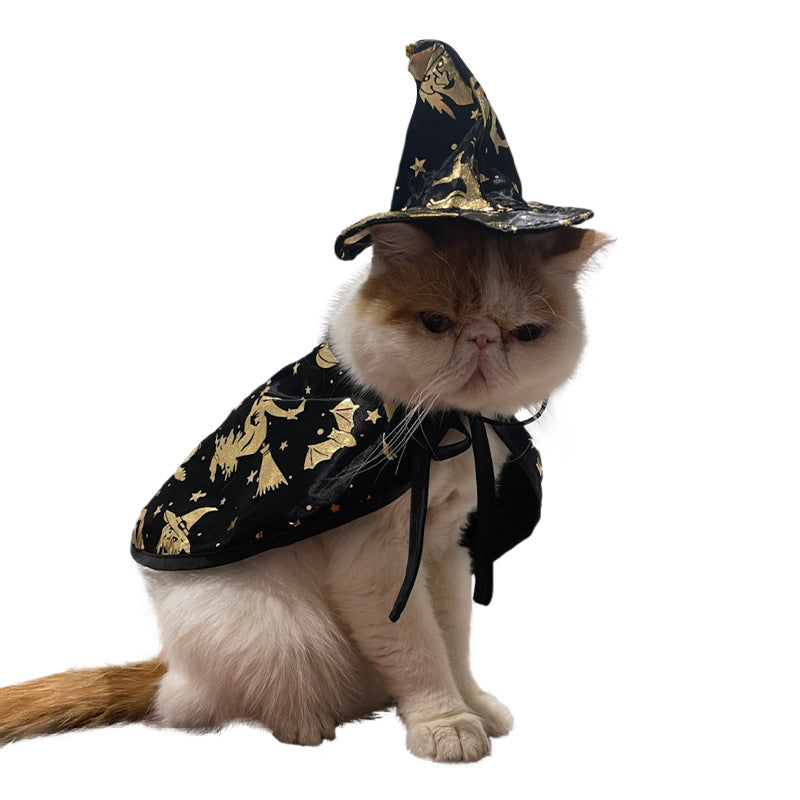 Witch Cloak Cat Costume with Wizard Hat Set