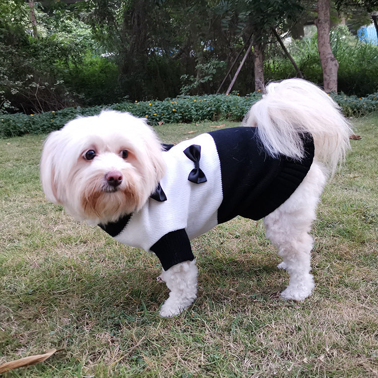 Small Dog Tuxedo Sweater for Cozy, Photo-Ready Style