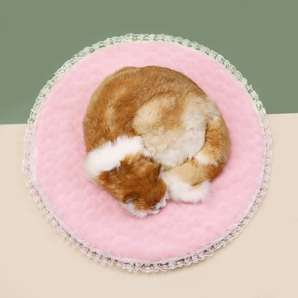 Lace Pet Cushion for Cozy Cat and Small Dog Daily Naps