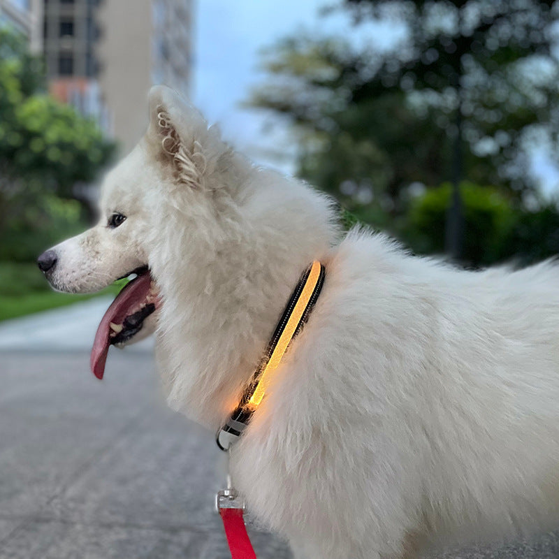 LED Pet Collar with App-Controlled Night Visibility