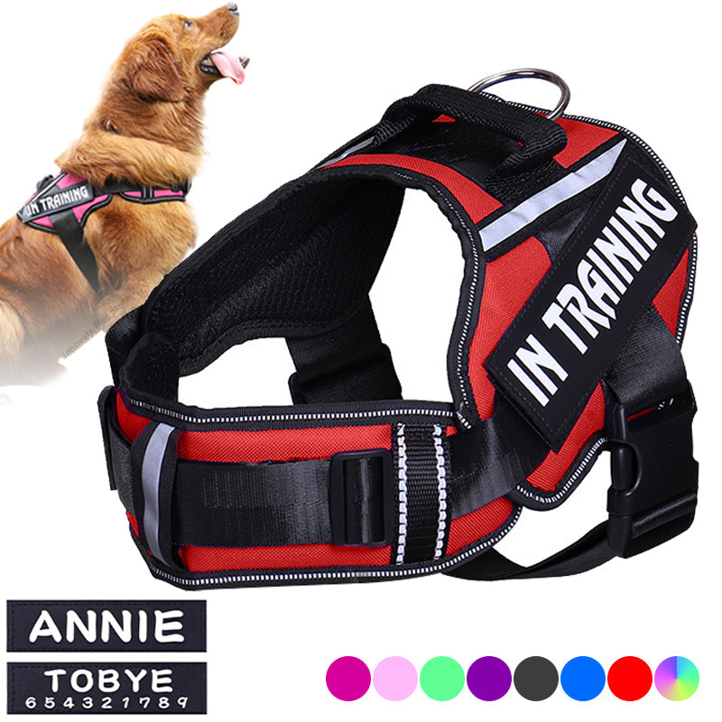Reflective Dog Harness With Custom ID Patch for Walks