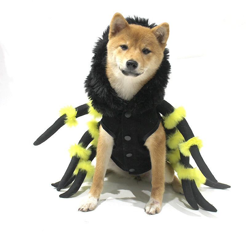 Pet Spider Costume for Funny Halloween Party Photos