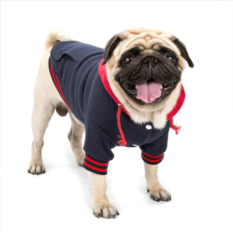 Hooded Dog Sweater for Warm, Stylish Everyday Walks
