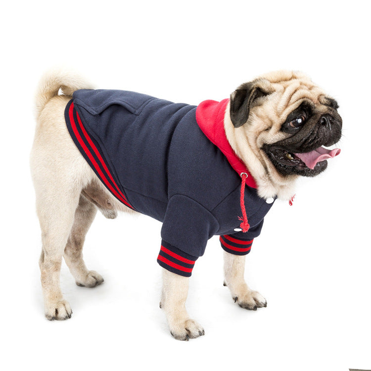 Hooded Dog Sweater for Warm, Stylish Everyday Walks