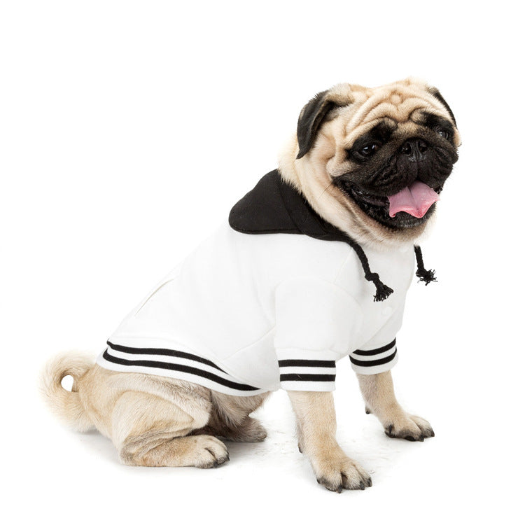 Hooded Dog Sweater for Warm, Stylish Everyday Walks
