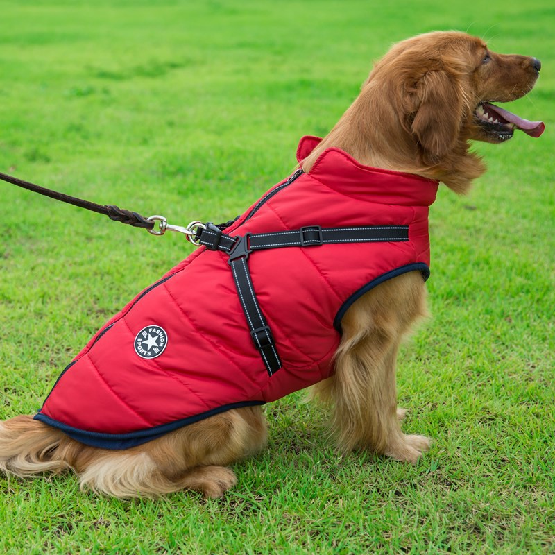 Reflective Dog Coat With Built-In Adjustable Harness