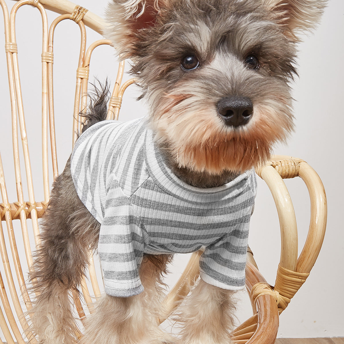 Small Dog Striped T-Shirt for Light Summer Comfort