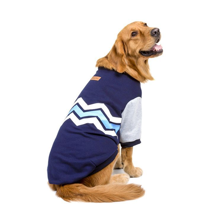 Big Dog Sweater: Full-Coverage Cotton Warmth for Walks