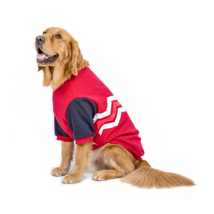 Big Dog Sweater: Full-Coverage Cotton Warmth for Walks