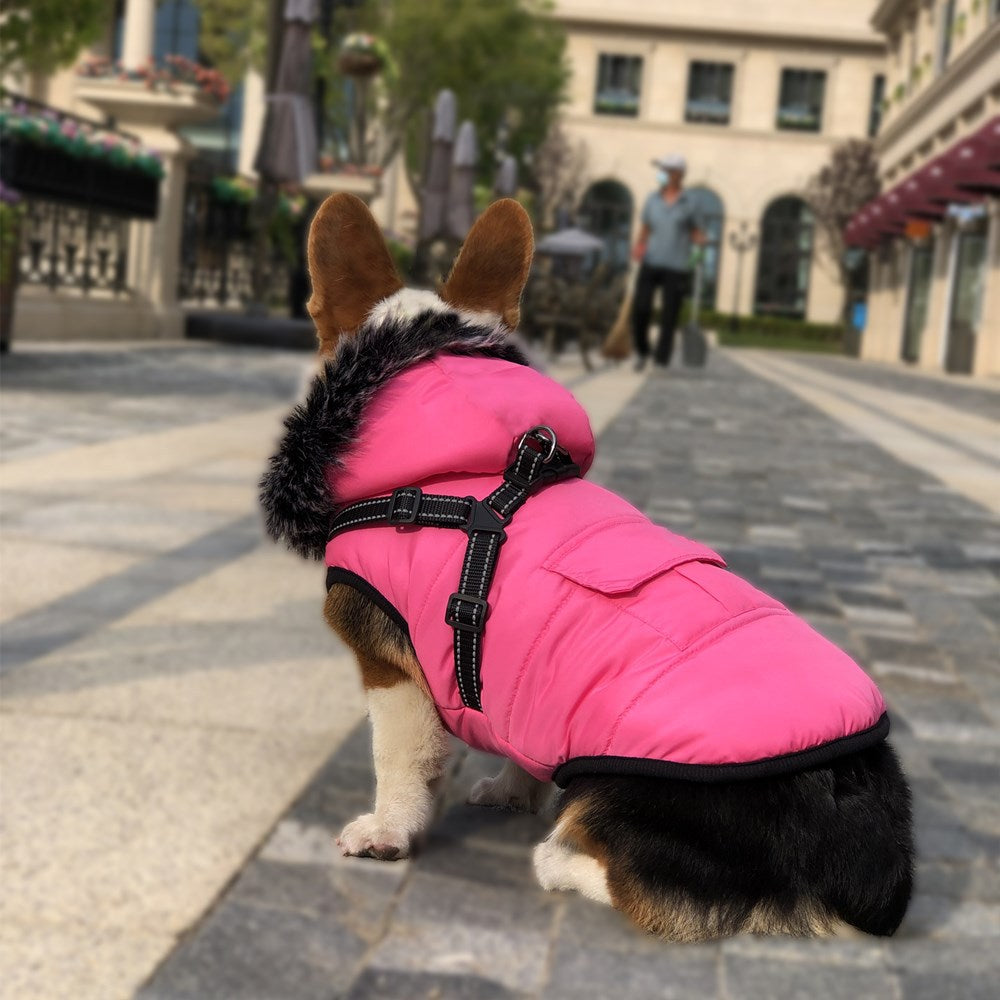 Reflective Winter Dog Coat With Warm Integrated Harness