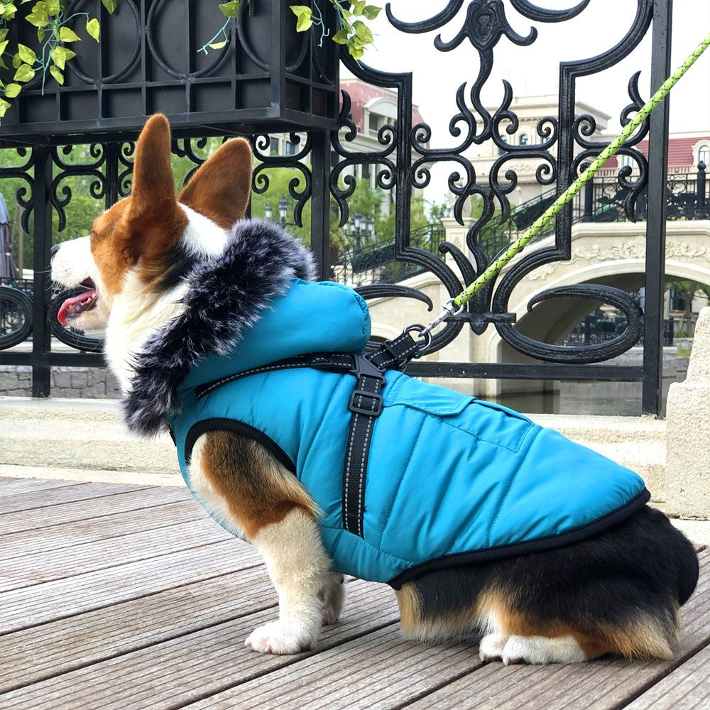Reflective Winter Dog Coat With Warm Integrated Harness