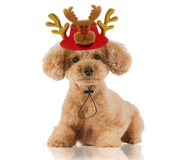 Dog Christmas Reindeer Hat for Holiday Pet Photos