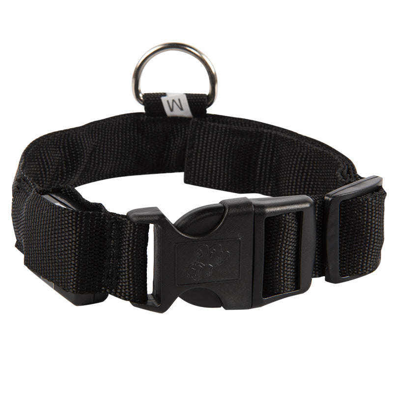 Rechargeable LED Pet Collar for Nighttime Visibility