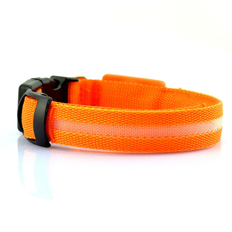 Rechargeable LED Pet Collar for Nighttime Visibility