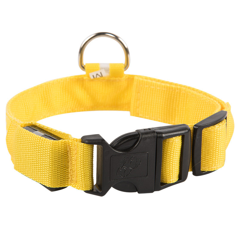 Rechargeable LED Pet Collar for Nighttime Visibility