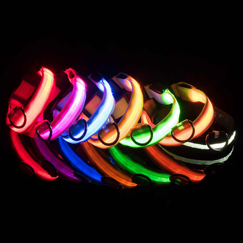 Rechargeable LED Pet Collar for Nighttime Visibility