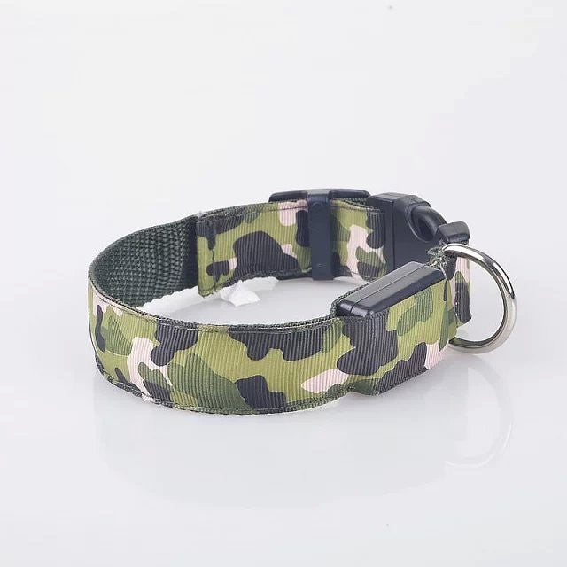 Rechargeable LED Pet Collar for Nighttime Visibility