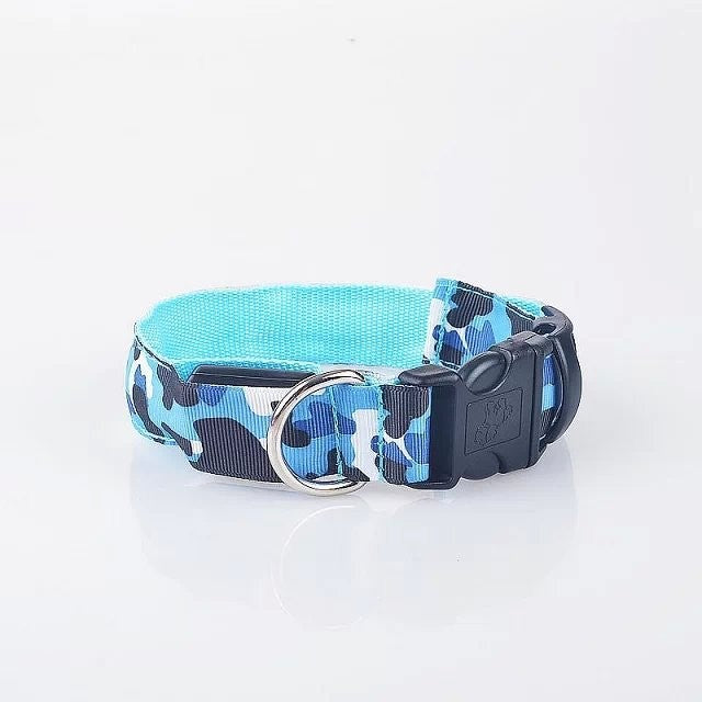 Rechargeable LED Pet Collar for Nighttime Visibility