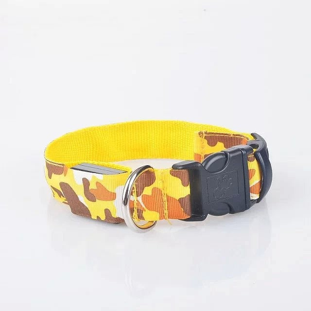 Rechargeable LED Pet Collar for Nighttime Visibility