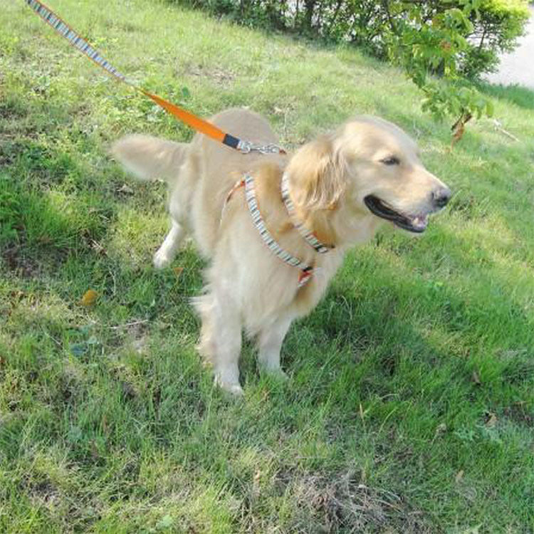 Striped Dog Harness and Leash Set for Controlled Walks