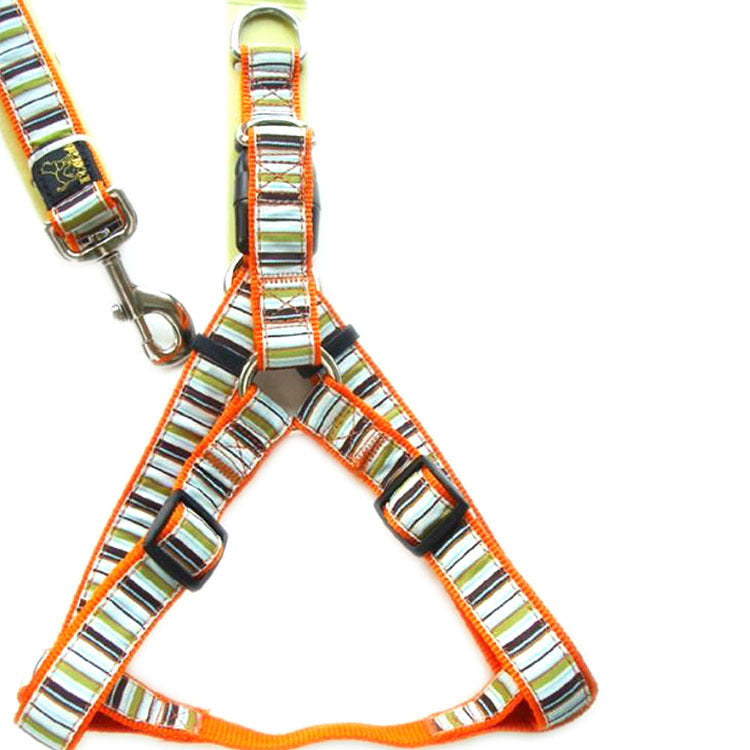 Striped Dog Harness and Leash Set for Controlled Walks