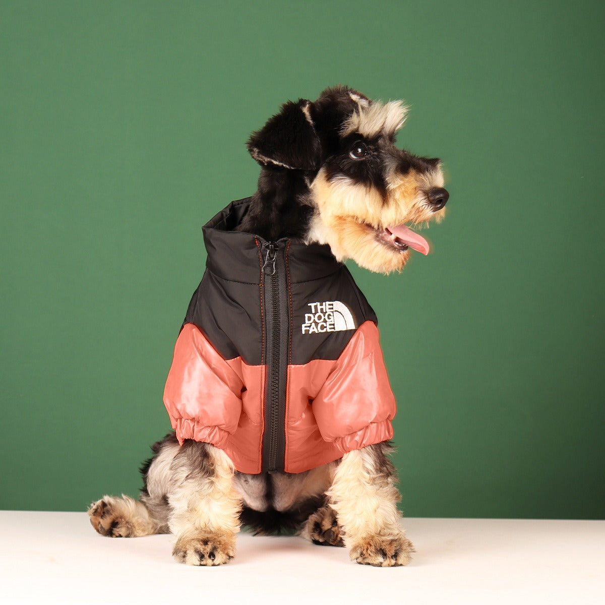 Small Dog Puffer Coat | Warm Stylish Winter Walks