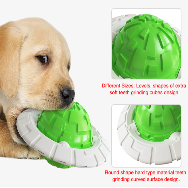 Interactive Dog Toy for Fetch, Chewing & Dental Play