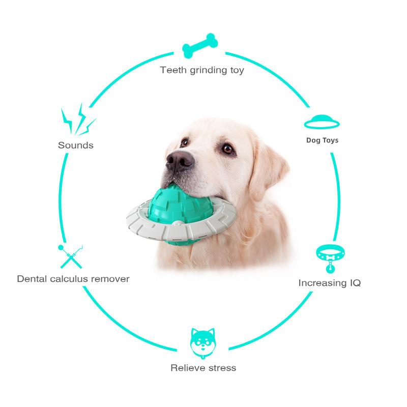 Interactive Dog Toy for Fetch, Chewing & Dental Play